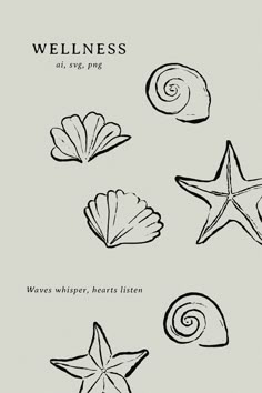 an image of seashells and starfish in black ink on a white background