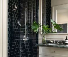 a bathroom with black tiles and a green plant in the shower stall next to the sink