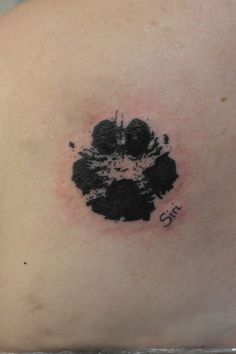 a black inked paw print on the back of a woman's shoulder