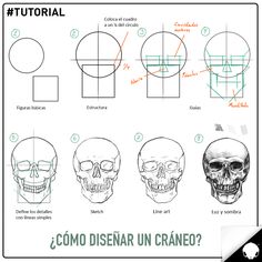 how to draw a skull with different facial shapes and head angles in spanish, from the book