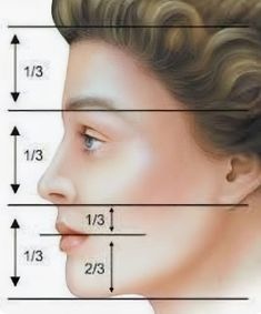 Golden Ratio Face, Facial Proportions, Face Proportions, 얼굴 드로잉, Golden Ratio, Pencil Art Drawings, Drawing Lessons, Anatomy Art