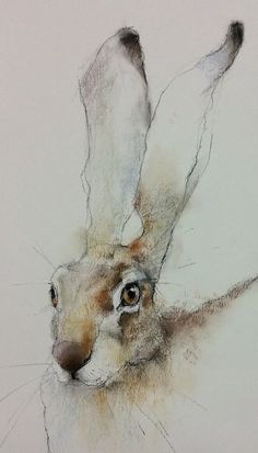 a drawing of a rabbit's head is shown