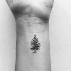 a small pine tree tattoo on the wrist