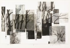 black and white drawing of trees with no leaves on them, all in different shades