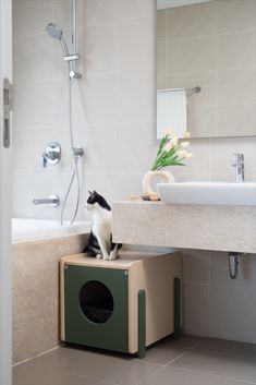 a black and white cat sitting on top of a box next to a bath tub