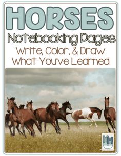 horses notebooking pages write, color, and draw what you've learned