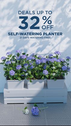 a planter with blue flowers in it and the text, deal up to 32 % off self - watering planter