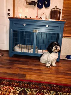 a small dog sitting in front of a blue pet crate on the floor next to a rug