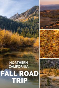 the fall road trip in northern california is full of colorful trees and foliage, along with an image of mountains