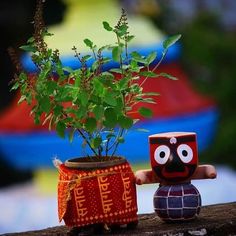 a potted plant sitting next to a small wooden figure with eyes on it's head