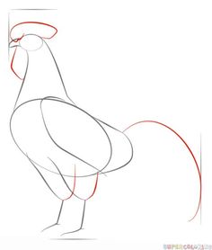 how to draw a chicken step by step