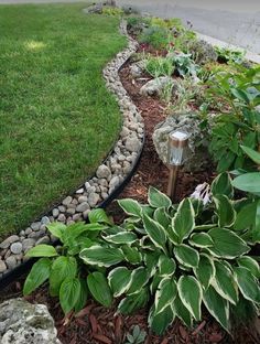 a garden filled with lots of different types of plants and rocks on the side of a road