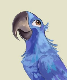 a blue bird with an orange beak and brown eyes