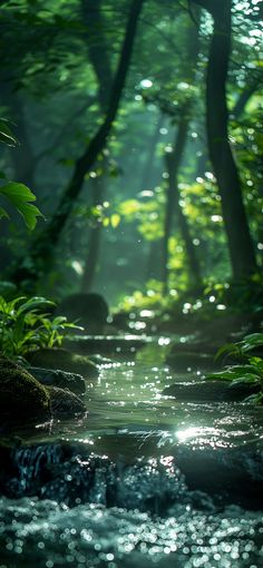 a stream running through a forest filled with lots of green plants and trees in the sunlight