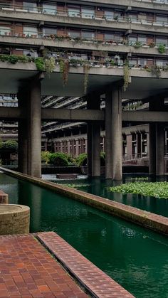 the water is green and there are many plants growing on the building's roof