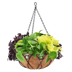 a hanging planter filled with green and purple flowers