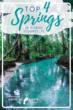 the top 4 springs in citrus county, fl