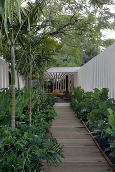 the walkway is lined with tropical plants and trees