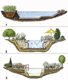 four different stages of water cycle in the garden, with trees and plants growing out of it