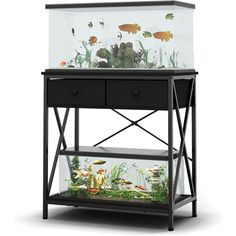 an aquarium with fish and plants in it on top of a shelf next to a white wall