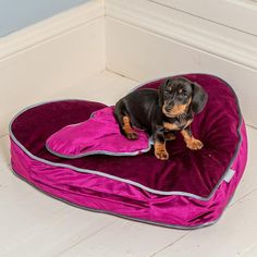 a small black and brown dog laying on top of a pink heart shaped bed