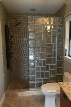 a bathroom with a glass block shower and toilet