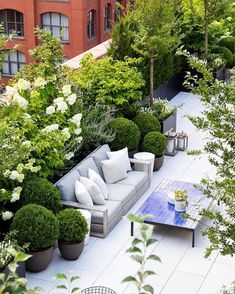 an outdoor living area with couches, tables and potted plants on the ground