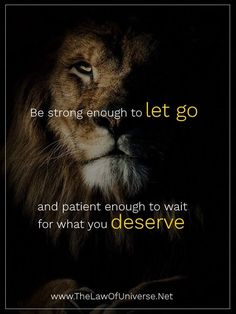 a lion with the quote be strong enough to let go and patient enough to wait for what you observe