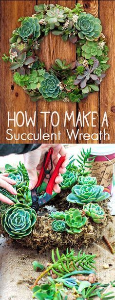 how to make a succulent wreath