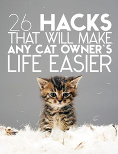 a small kitten sitting on top of a fluffy white blanket with the words 26 hacks that will make any cat owner's life easier