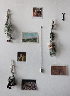 the wall is covered with pictures and plants