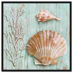 two seashells are sitting on a wooden surface