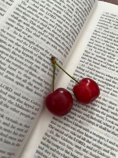 two cherries sitting on top of an open book