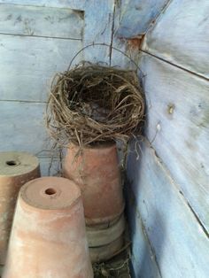 three clay vases with birds nest in them on the ground next to two rolls of toilet paper