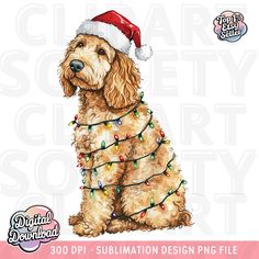 a dog wearing a santa hat with christmas lights on it's chest, sitting in front of a white background