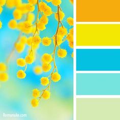 the color scheme is blue, yellow and green with white flowers on it's branches