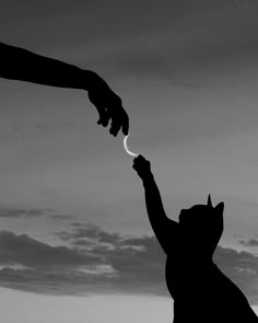 two hands reaching for the moon above a cat silhouetted against a cloudy night sky