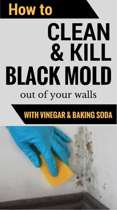 how to clean and kill black mold out of your walls with vinegar & baking soda