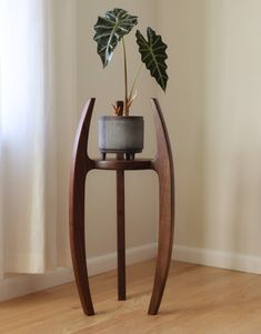 a potted plant sitting on top of a wooden stand in front of a window