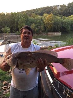 a man holding up a large fish in front of a red car with trees in the background