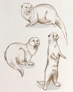 three otters are standing up and looking at the same thing in this drawing,