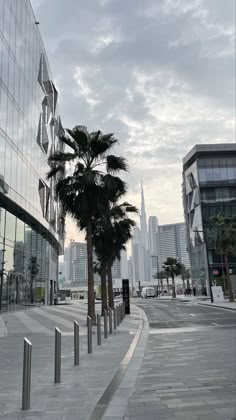 the palm trees are lined up along the sidewalk in front of some buildings and skyscrapers