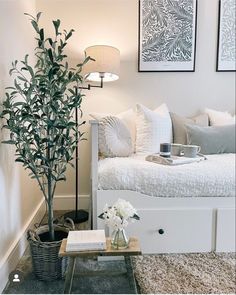 a living room with a couch, coffee table and potted plant