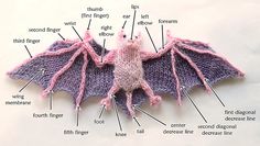 an image of a knitted bat with labels on it's wings and features