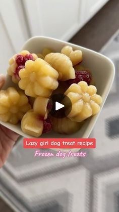 a person is holding a bowl of frozen dog treats with raspberries and pineapples