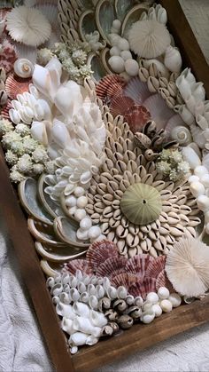 sea shells and seashells in a wooden box