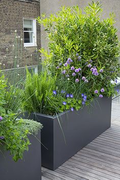 two large metal planters filled with plants on top of a wooden floor next to a building