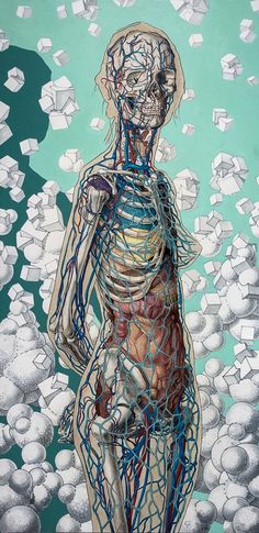 a painting of a human body with multiple lines running through it, including the heart and lungs