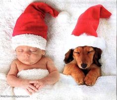 a baby sleeping next to a dog wearing a santa hat