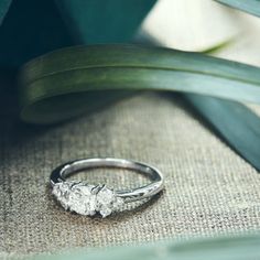 a diamond ring sitting on top of a piece of cloth next to a green plant